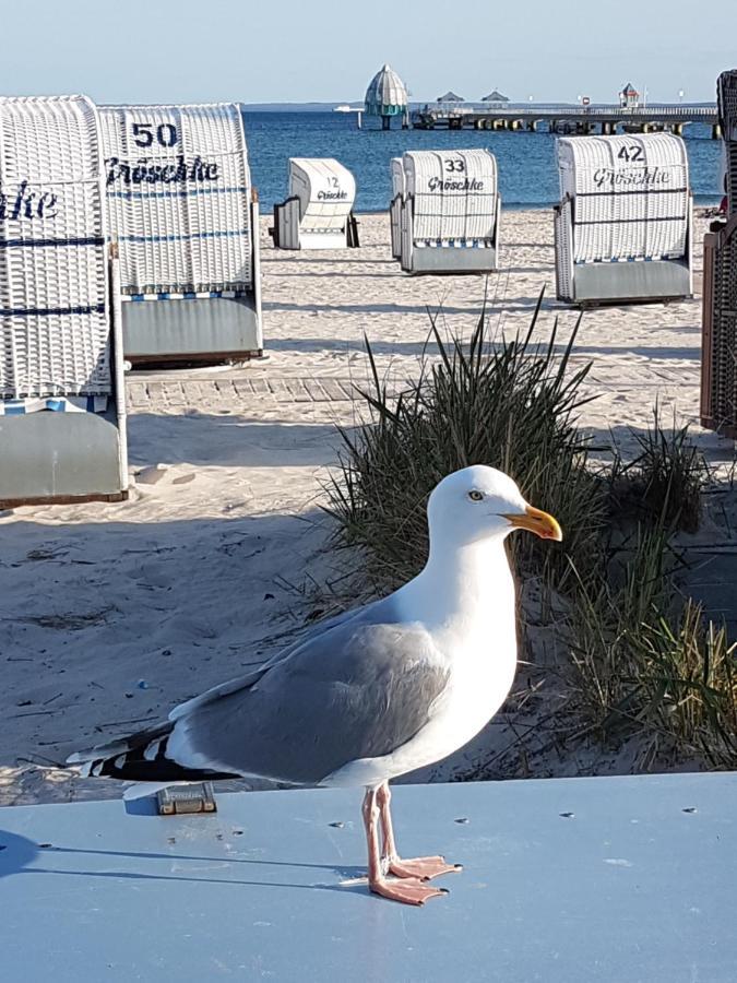 Ferien Auf Zwei Ebenen In Der Moewenkoje * Groemitz
